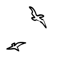 projectImage1